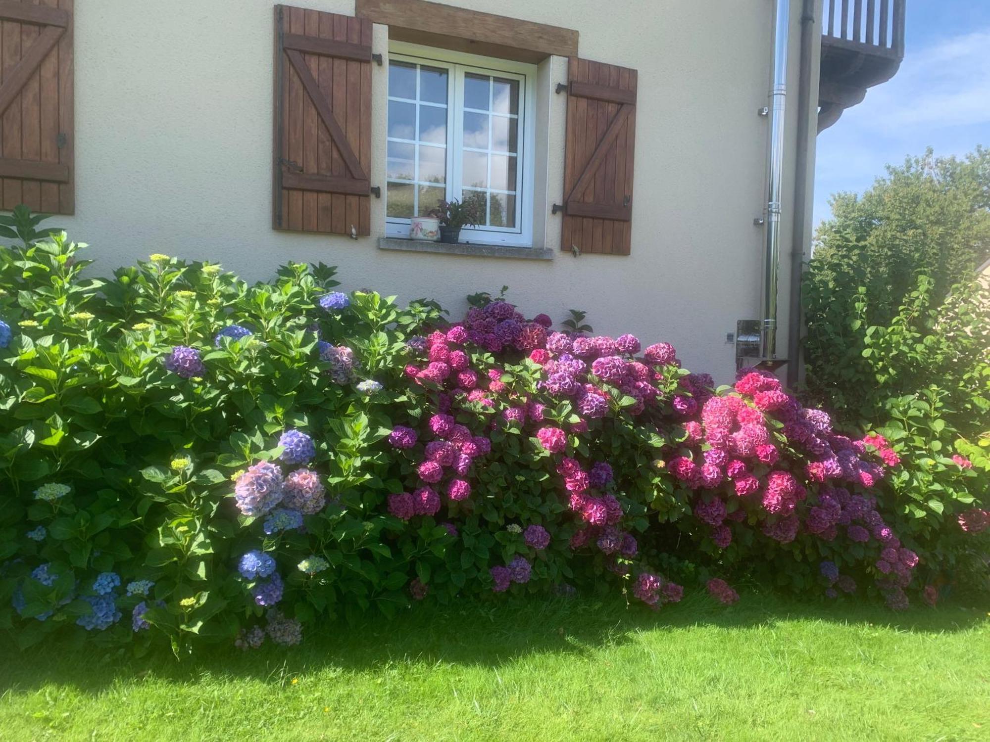 Chambres D'Hotes Le Bignon Dans Les Alpes Mancelles Villaines-la-Juhel Exterior photo