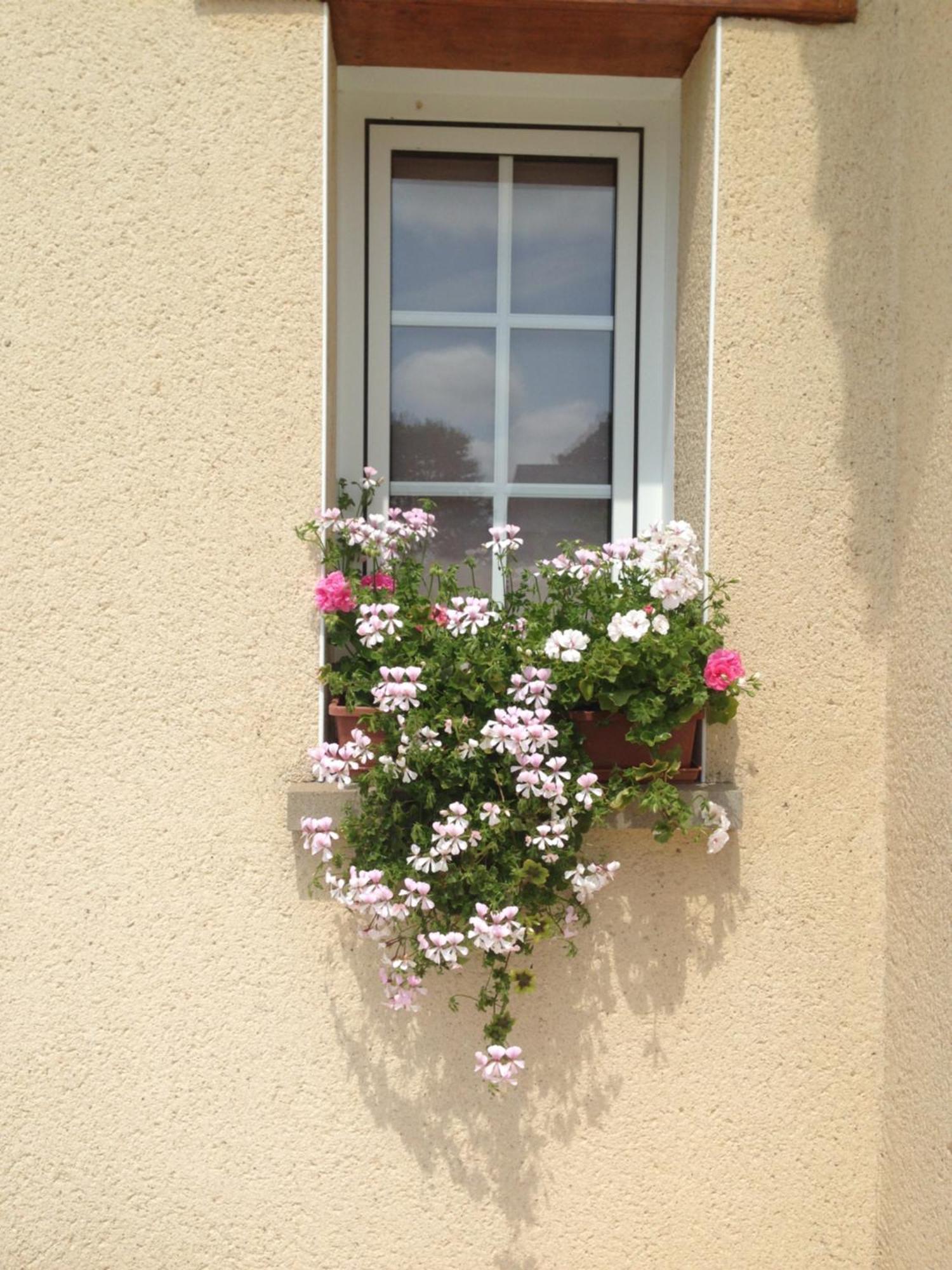 Chambres D'Hotes Le Bignon Dans Les Alpes Mancelles Villaines-la-Juhel Exterior photo